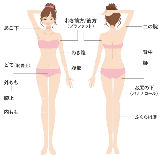 ミラクリニックの医療痩身ダイエットは全身も部分痩せもOK