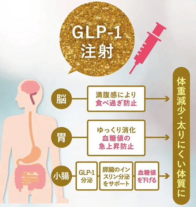 ディオクリニックのGLP-1ダイエット